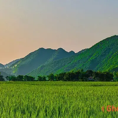 পাঁচগাঁও, নেত্রকোণা: প্রাকৃতিক সৌন্দর্যে ভরা এক পাহাড়ি গ্রাম